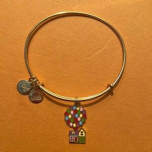 Disney Up Alex and Ani